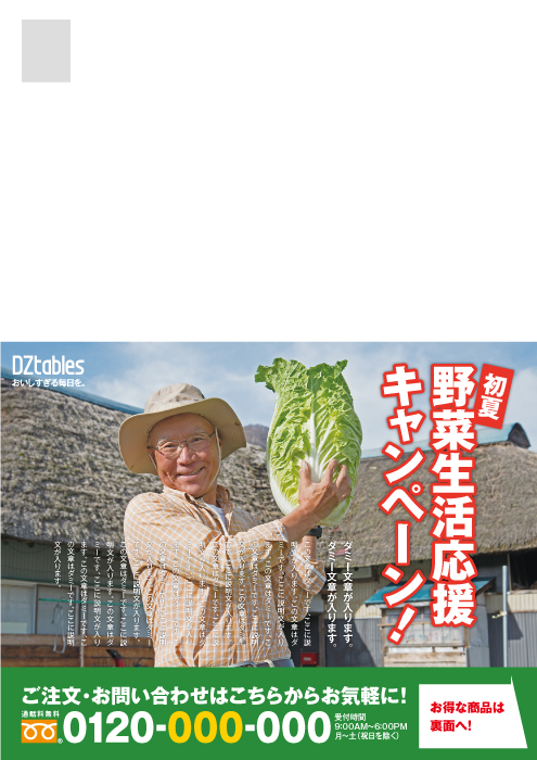 農林／野菜販売 DM大判