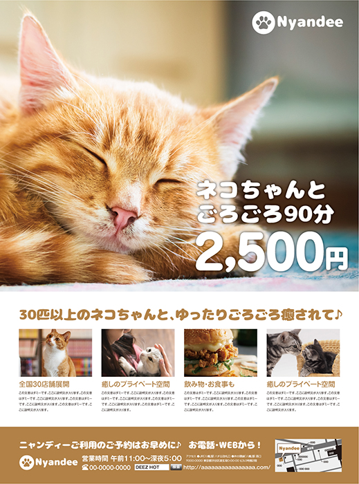 猫カフェ 新聞広告全15段
