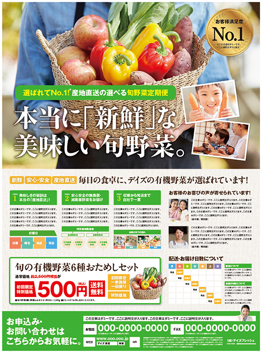 野菜定期便 新聞広告全15段